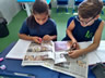 atividades-do-ensino-fundamental 2020