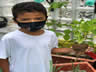 RECRIANDO PLANTANDO
