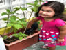 RECRIANDO PLANTANDO