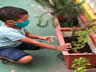 RECRIANDO PLANTANDO