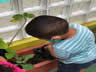 RECRIANDO PLANTANDO