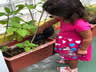 RECRIANDO PLANTANDO