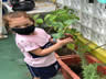 RECRIANDO PLANTANDO